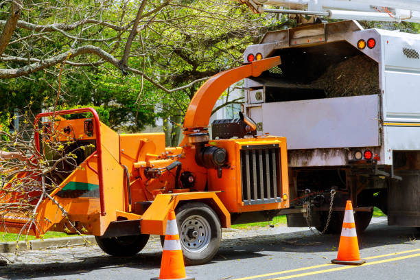Mulching Services in Black Rock, NM